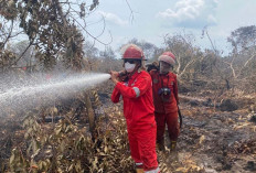 Lakukan Pemadaman Sisa Bara Api, Kebakaran Hutan dan Lahan di Desa Tanjung Sari II OKI 