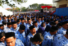 Dugaan Kecurangan, Verifikasi Ulang Data PPPK, Segini Jumlahnya
