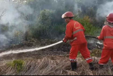 Aduh Gawat Nih, Kebakaran Hutan dan Lahan di Muara Enim Mendekati Pemukiman Warga 