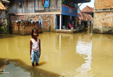 Luapan Sungai Lematang Membuat Kelurahan Payuputat Direndam Air 