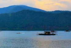 Permata Biru Nusantara: Menjelajahi Danau-Danau Terluas di Indonesia