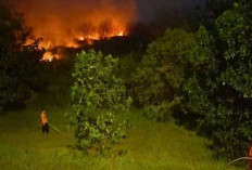 1 Hektar Lahan Terbakar, Pemkab Ogan Ilir Belum Tetapkan Status Siaga Darurat 