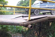Hati-Hati Saat Melintas Diatas Jembatan Menuju Desa Ketapang II Kecamatan Rantau Panjang