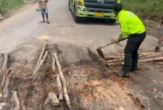 Titik Kritis Jalintim: Kaliberau Lumpuh, Polisi Turun Tangan Atasi Kemacetan
