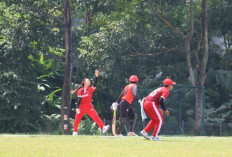 Cricket Indonesia Tutup 2025 dengan Rekor Dunia 45 Laga T20I
