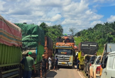 Jalintim Lumpuh! Truk Trailer 116 Ton Terhenti di Tengah Jalan, Palembang–Jambi Macet Total