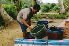 Keluar Masuk Kampung, Pedagang Perabotan Plastik Tawarkan Harga Ekonomis tapi Kualitas tidak Murahan 