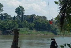 Kebakaran Hutan dan Lahan di Desa Jud 1 Sanga Desa, Warga Antusias Saksikan Helikopter Water Bombing 