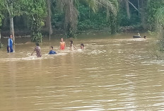 Cuaca Ekstrem, Beberapa Kecamatan di Musi Banyuasin Mulai Terendam Banjir, Ini Lokasinya 