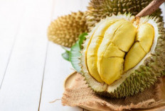Benarkah Makan Durian Picu Darah Tinggi? Ini Faktanya!   
