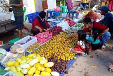 Penjualan Buah Lokal dan Impor di Sanga Desa Muba Masih Stabil, Omset Buah Ikut Stabil 