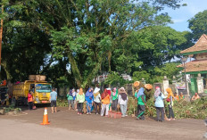 Pasca Terjangan Angin Kencang, Puluhan Pohon dan Warung di Kayuara Rusak