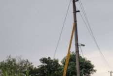 Cuaca Ekstrem Landa OKU, PLN Baturaja Siaga Penuh Perbaiki Jaringan Listrik Terdampak
