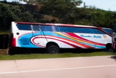 Tragis! 7 Nyawa Melayang dalam Kecelakaan Bus Rosalia Indah di Tol Batang-Semarang