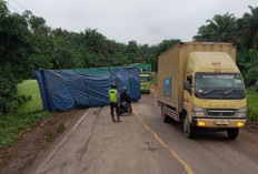 Diduga Sopir Mengantuk, Truk Hino Melintang di Desa Peninggalan Tungkal Jaya