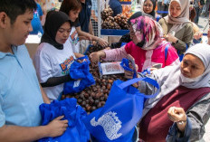 Diberdayakan BRI, Bisnis Klaster Petani Salak Ini Melejit!