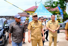 Panjat Tebing Muba: Tradisi Juara Umum PORPROV XV Sumsel Berlanjut, Sabet 10 Emas!