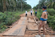 Perbaikan Jembatan Desa Warga Mulya (B4) Muba Segera Dimulai