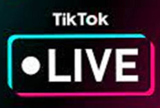Strategi Live TikTok Efektif, Raih Ribuan Penonton!