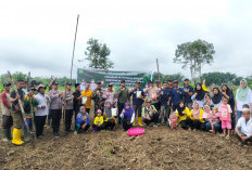 Perkuat Ketahanan Pangan, Desa Ngulak 2 Tanam Jagung