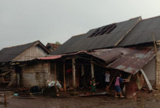  Puluhan Rumah Rusak Diterjang Puting Beliung di Desa Tirta Mulya, Banyuasin