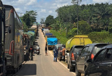 Jalintim Palembang–Jambi Lumpuh Jelang Nataru: Pengendara Terjebak 14 Jam, Tol Jadi Harapan Mendesak