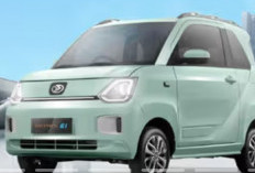 Pilihan Mobil Listrik Harga 200 Jutaan 2025, Akses Kendaraan Ramah Lingkungan Semakin Terbuka