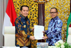 Dorong Terwujudnya Pembangunan Dua Jembatan Penghubung Mesuji Lampung dengan OKI Sumsel