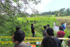 Warga Ngulak Geger, Mayat Terbungkus Karung Ditemukan di Sawah
