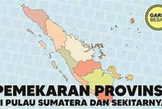 Provinsi Sumatera Selatan Ada Wacana untuk Pemekaran, Ini Namanya