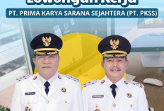 Peluang Emas Karir : Lowongan Back Office di 12 Wilayah Bersama PT. PKSS , Prioritas KTP Muba