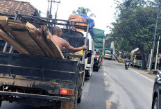 Wajah Baru Jembatan Peninggalan: Perbaikan Hampir Tuntas, Jalintim Palembang-Jambi Siap Normal Dua Arah
