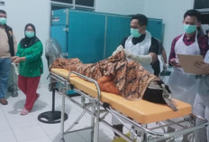 Pria Ditemukan Tewas di Pondok Kebun Sungai Ketue, Keluarga Sempat Curiga  
