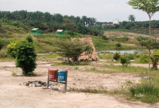 Manfaatkan Keuntungan BUMDes, Desa Mekar Jadi Kembangkan Wisata Telaga Sena