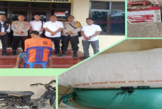 Curi 100 Kilogram Beras dan Dua Aki, Warga Palembang Diringkus Polisi di OKU Timur