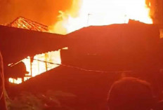 Kebakaran Hebat Melanda Kawasan Padat Penduduk, 7 Rumah Hangus Terbakar