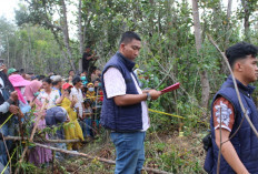 Geger Penemuan 16 Bagian Kerangka Manusia di OKI, Diduga Milik Nenek Dilaporkan Hilang