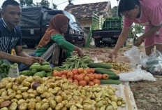 Sempat Melambung Tinggi, Segini Harga Jengkol di Pasar Kecamatan Sanga Desa 