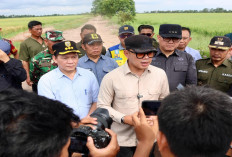 Pj Gubernur Elen Setiadi Dampingi Wamendagri Tinjau Saluran Irigasi Pertanian di Kawasan Tanjung Lago 