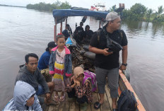 Kapal Muatan Batubara Nihil Melintas Dibawah Jembatan P6 Lalan Muba Per 1 Januari 2026