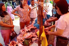 Permintaan Ayam Potong Alami Penurunan, Harga Merosot Tajam 