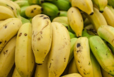Pisang: Buah Kaya Manfaat untuk Kesehatan dan Energi Sehari-hari!