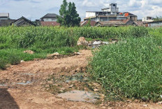 Jalan Rusak di Pasar Sungai Lilin Dikeluhkan Pedagang dan Pengunjung