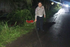 Warga Lubuk Linggau Tewas Usai Tergelincir ke Sungai, Saat Hujan Deras