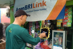 Pahlawan Inklusi Keuangan, AgenBRILink di Tengah Kebun Kelapa Sawit Berhasil Dekatkan Layanan Perbankan 