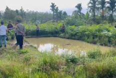  Dua Bocah Batu Urip Lubuklinggau Tewas Tenggelam di Kolam Pembibitan Sawit