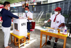 Pilkada Kian Dekat, BPJS Watch Ingatkan Kepala Daerah Lindungi Pekerja Badan Ad Hoc