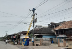 PLN Perkuat Jaringan Listrik di Tulung Selapan, Uprating Penyulang Tenggiri Tingkatkan Keandalan