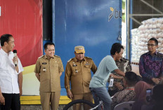 Presiden Jokowi Pastikan Ketersediaan Stok Beras di Gudang Bulog Lubuk Linggau