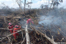 Personel Lakukan Mopping Up, Ternyata Masih Ada Spot Asap di Lokasi Karhutla Tanjung Sari II OKI 